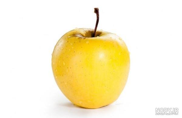 عکس کارتونی سیب زرد عکس کارتونی سیب زرد