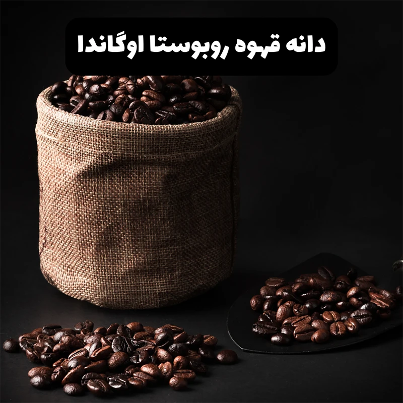 قهوه روبوستا قهوه روبوستا