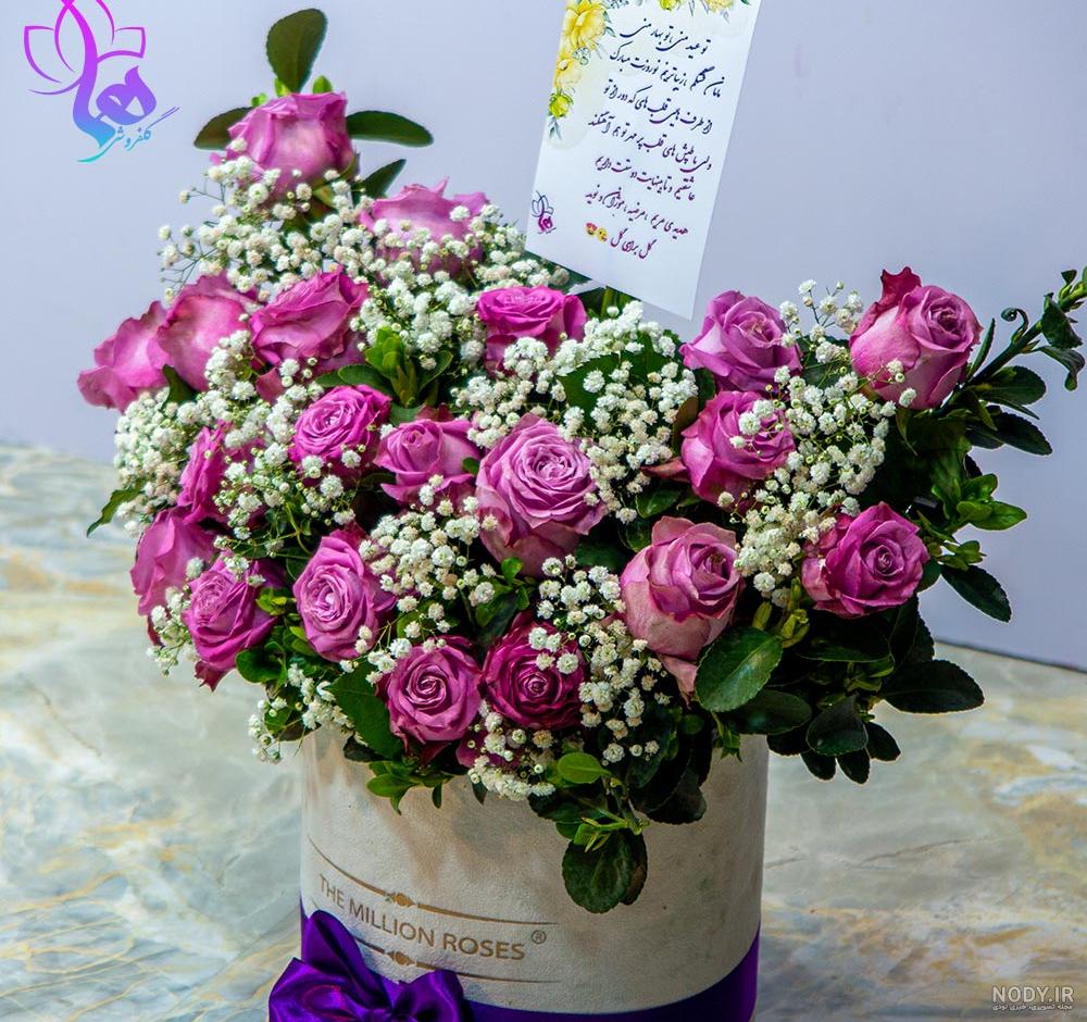 باکس زیبای رز هلندی باکس زیبای رز هلندی