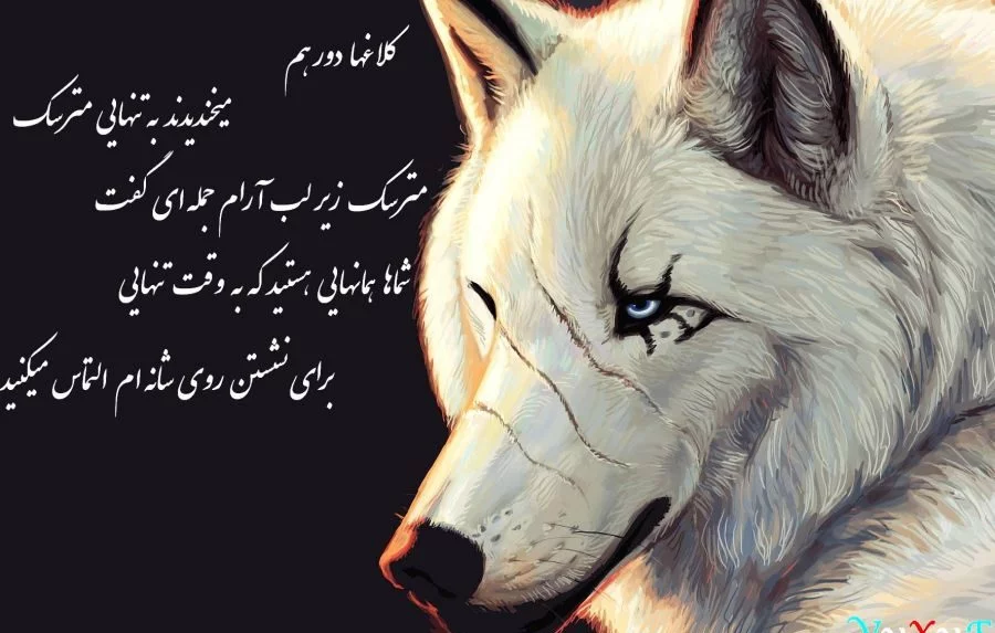 تصاویر زیبای گرگ برای پروفایل تصاویر زیبای گرگ برای پروفایل