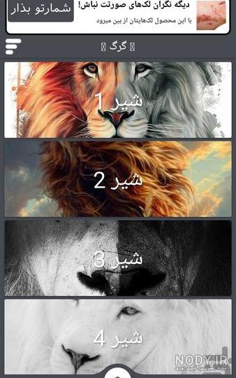 تماس چشمی پرتره پروفایل جفت گرگ 1705877