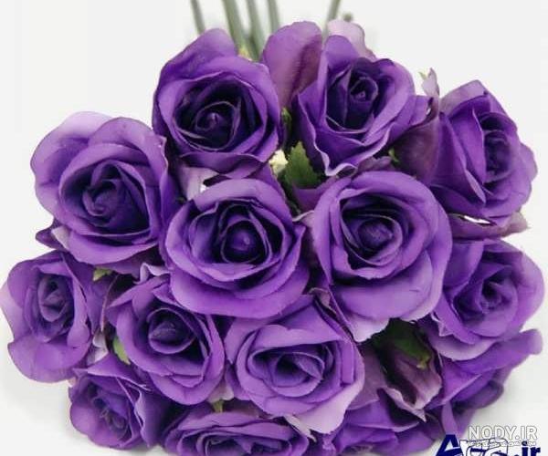 خرید گل رز هلندی رنگ خاص [به قیمت عمده] در رزپک🌹