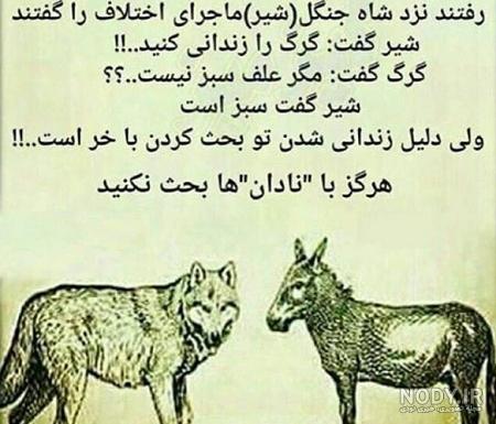 دانلود خفن ترین و خاص ترین عکس های گرگ برای پروفایل دانلود خفن ترین و خاص ترین عکس های گرگ برای پروفایل