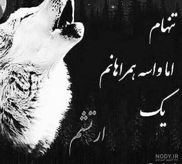 دانلود عکس های جدید گرگ خفن و وحشی برای والپیپر و تصویر زمینه دانلود عکس های جدید گرگ خفن و وحشی برای والپیپر و تصویر زمینه