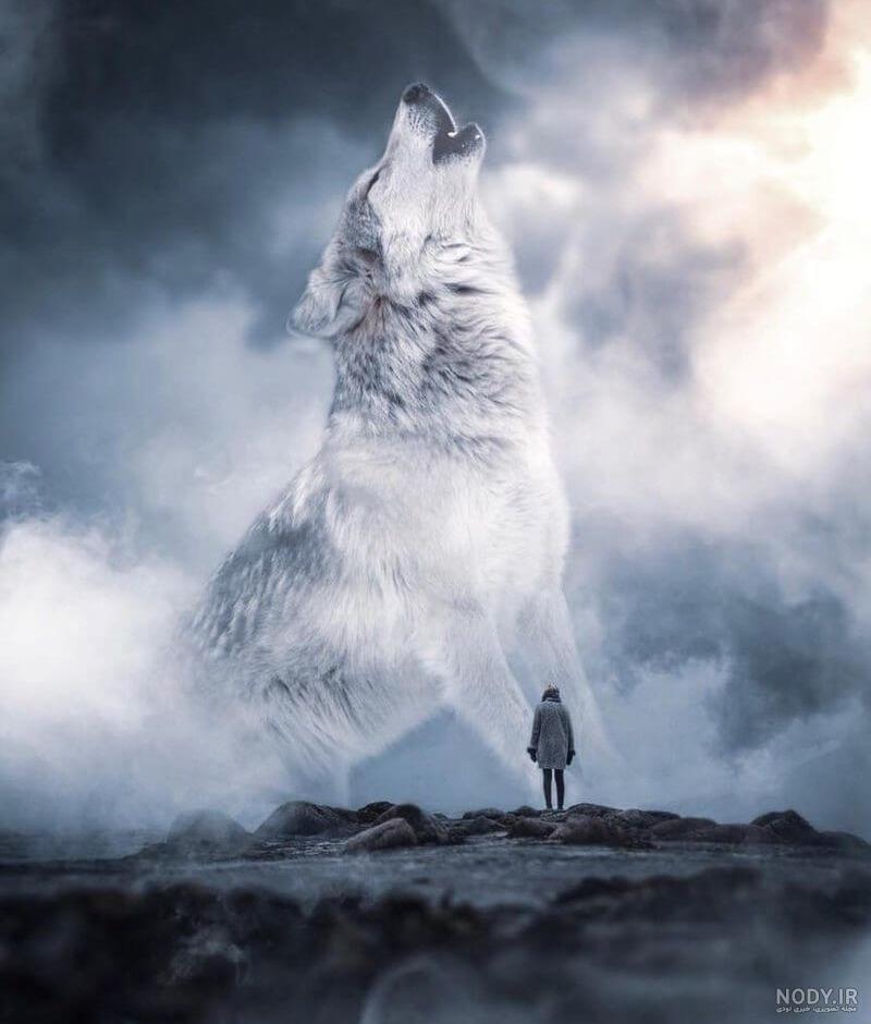 عکس شیر و گرگ برای پروفایل
