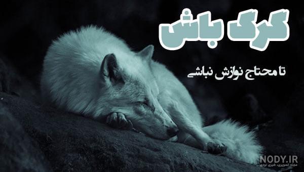 عکس نوشته گرگ برای پروفایل + جملات جالب انگیزشی با موضوع گرگ عکس نوشته گرگ برای پروفایل + جملات جالب انگیزشی با موضوع گرگ