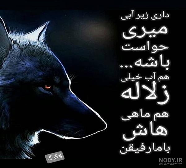 عکس گرگ برای پروفایل پسرانه و دخترانه در انواع شبکه های اجتماعی عکس گرگ برای پروفایل پسرانه و دخترانه در انواع شبکه های اجتماعی
