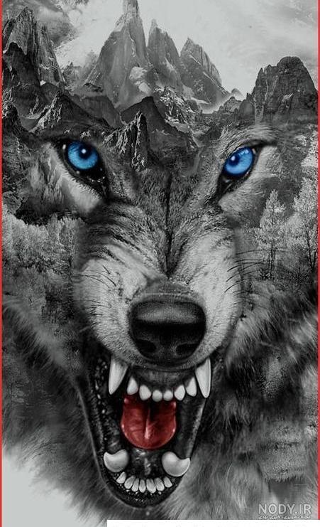 عکس گرگ🐺دانلود بهترین عکسهای گرگ وحشی با کیفیت 4k عکس گرگ🐺دانلود بهترین عکسهای گرگ وحشی با کیفیت 4k