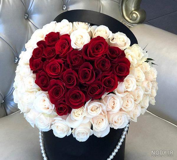 عکس گل رز زیبا و خاص برای پروفایل جدید عکس گل رز زیبا و خاص برای پروفایل جدید