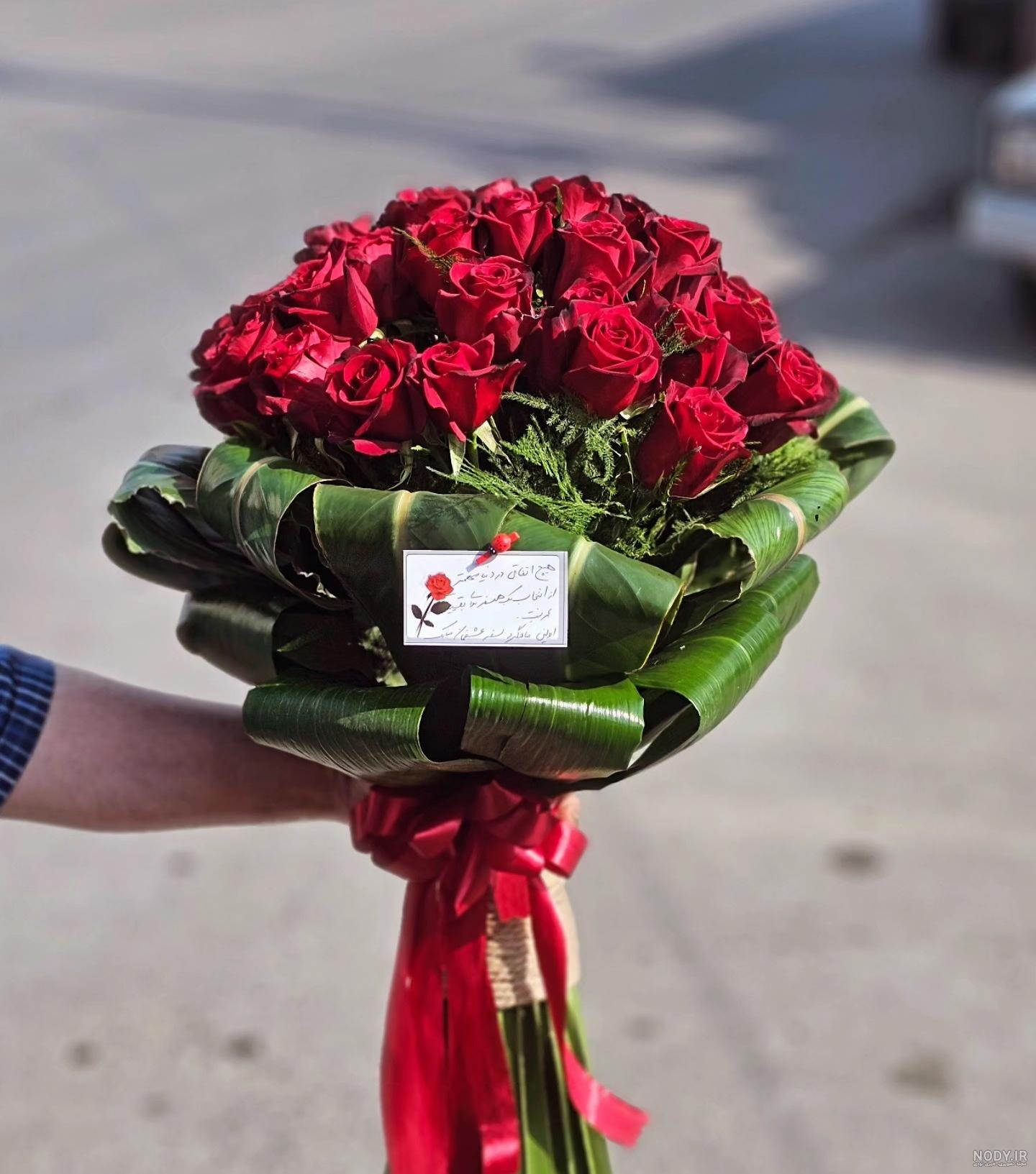 عکس گل رز قرمز زیبا از حالت های مختلف گل رز عکس گل رز قرمز زیبا از حالت های مختلف گل رز