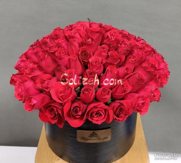 عکس گل رز قرمز عاشقانه + عکس گل رز قرمز با زمینه مشکی عکس گل رز قرمز عاشقانه + عکس گل رز قرمز با زمینه مشکی