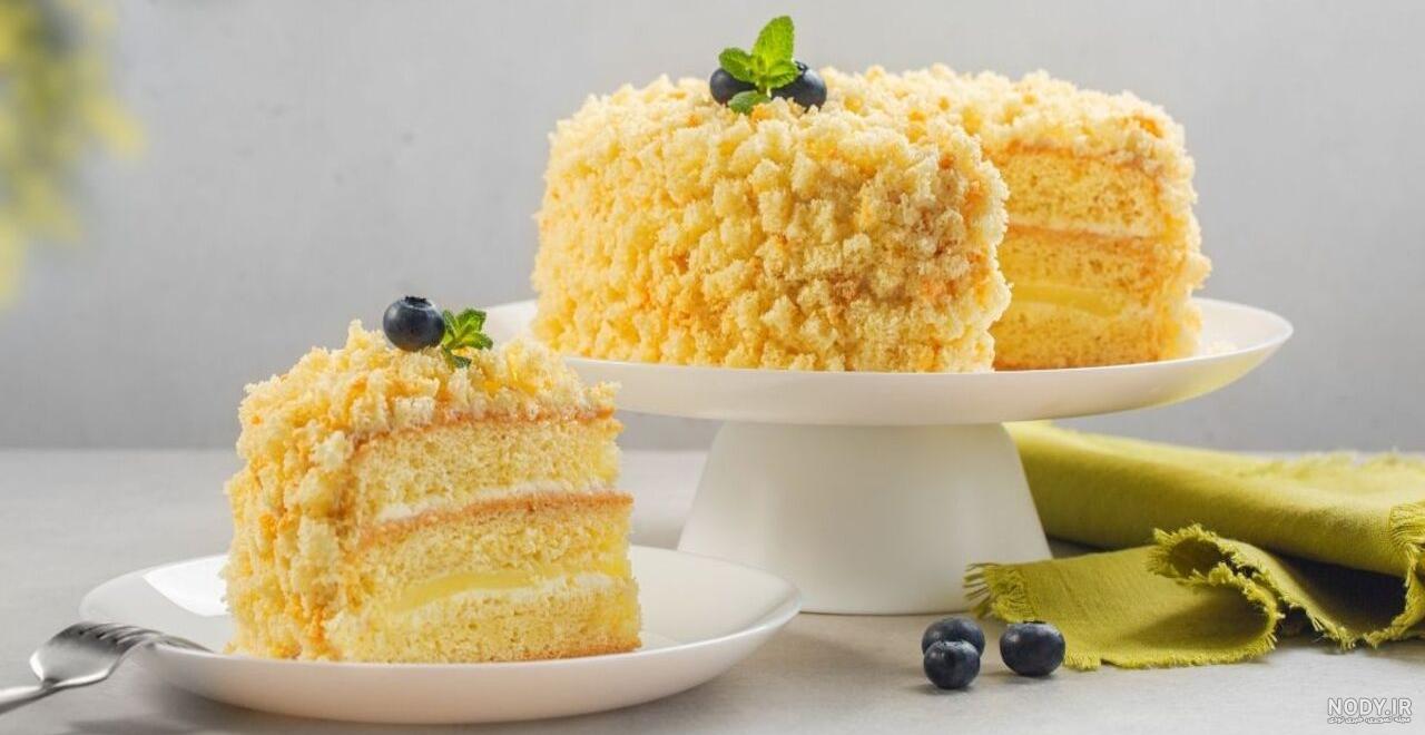 فرارو | طرز تهیه «کیک ساده» خانگی به صورت مرحله به مرحله و بسیار خوشمزه