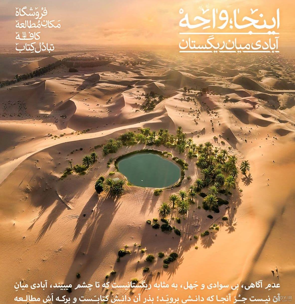 لوگوموشن گرگ آتشین