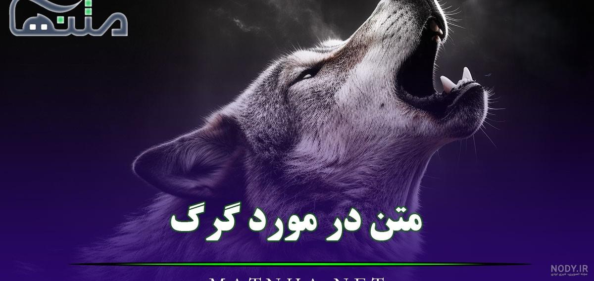 متن سنگین روی کلیپ گرگ متن سنگین روی کلیپ گرگ