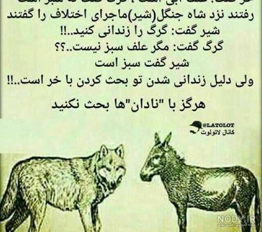 مجموعه عکس پروفایل شیر پادشاه جنگل؛ قدرتمند و مغرور - ستاره