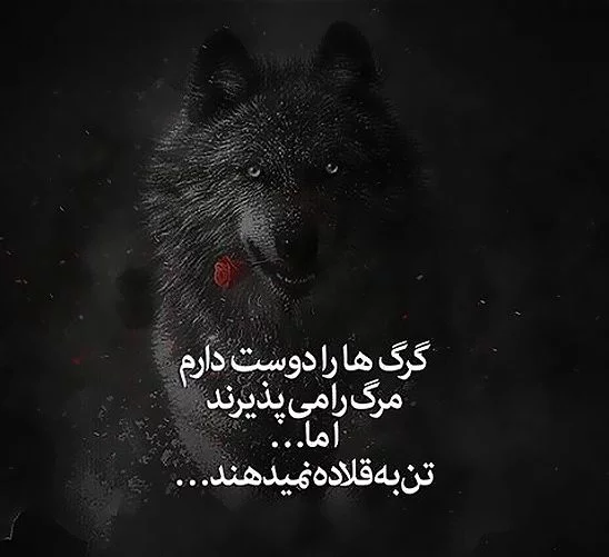 مقابله با حمله گرگ مقابله با حمله گرگ