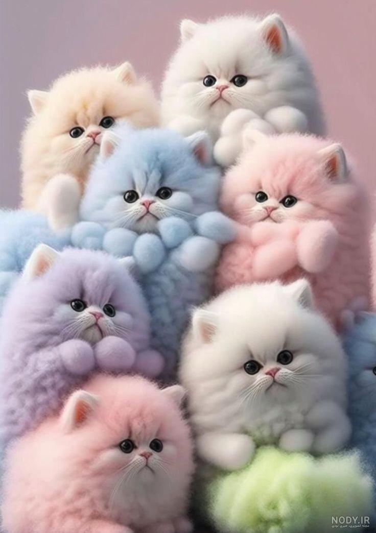 عکس خفن عکس گربه برای تصویر زمینه دخترانه