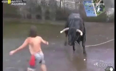 عكس دست جمعي و خنده دار حيوانات بامزه