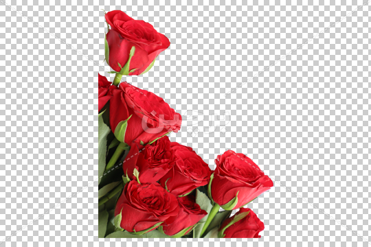 عکس دسته گل برای پروفایل - عکس نودی عکس دسته گل برای پروفایل - عکس نودی