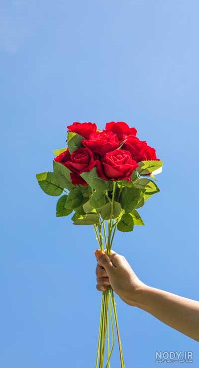 عکس دسته گل رز بزرگ عکس دسته گل رز بزرگ