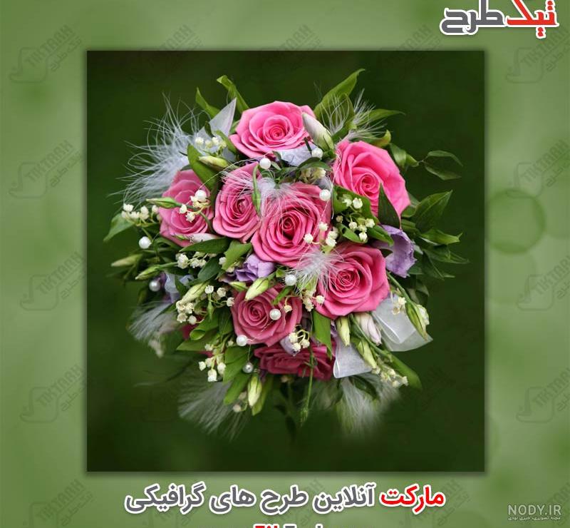 عکس دسته گل رز سفید و قرمز - عکس نودی عکس دسته گل رز سفید و قرمز - عکس نودی