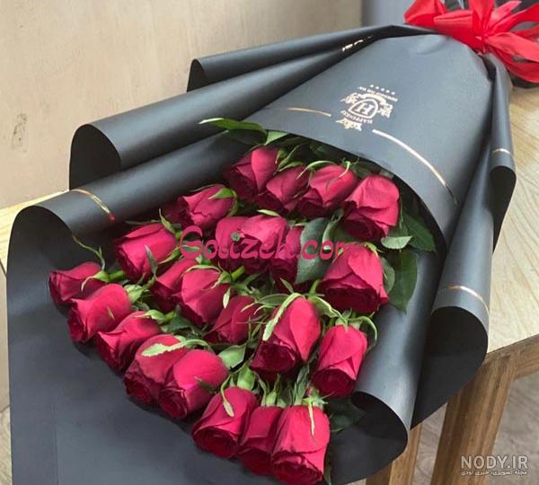 عکس شاخه گل رز مشکی