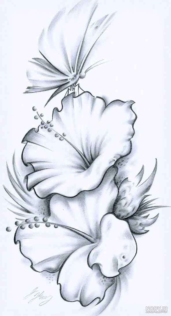 عکس نقاشی گل های زیبا اما ساده