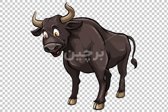 عکس کارتونی گاو نر عکس کارتونی گاو نر