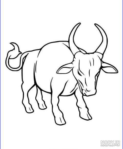 عکس گاو کاریکاتوری - عکس نودی عکس گاو کاریکاتوری - عکس نودی