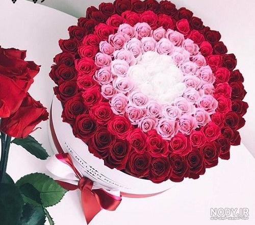 عکس های گل / بهترین تصاویر گل [پیشنهادی] | تاوعکس