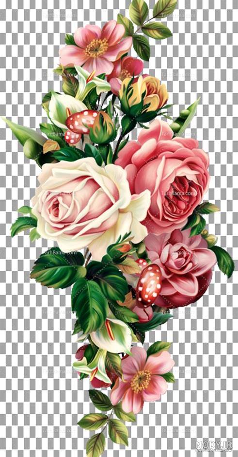 عکس گل رز قرمز دسته عکس گل رز قرمز دسته
