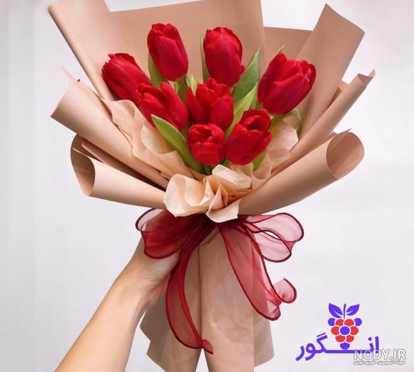 عکس گل لاله قرمز نقاشی عکس گل لاله قرمز نقاشی