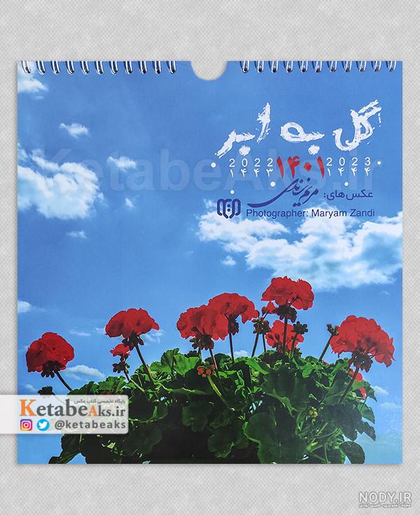 عکس گل مریم با نوشته عکس گل مریم با نوشته