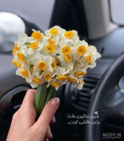 عکس گل نرگس برای پروفایل 2023 | عکس گل مریم | عکس گل برای پروفایل | عکس گل  برای پروفایل واتساپ