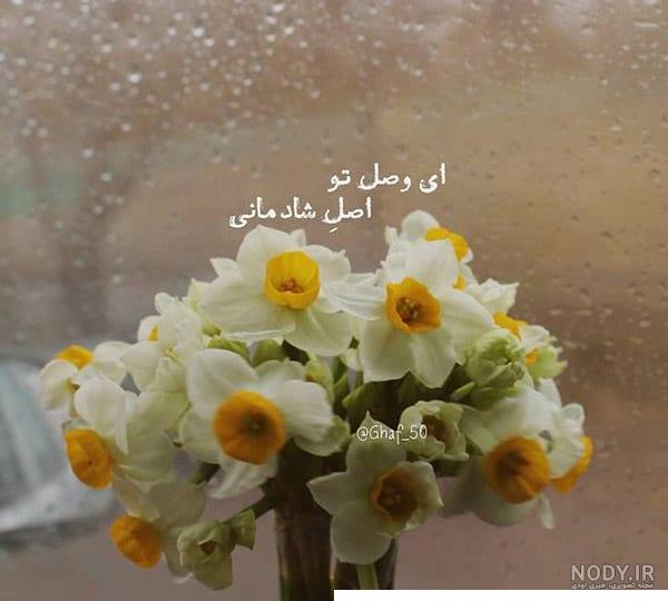 عکس گل نرگس تو دست دختر - عکس نودی