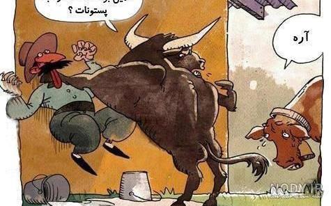 لوگو ردبول | تاریخچه لوگوی ردبول | دانلود لوگو ردبول
