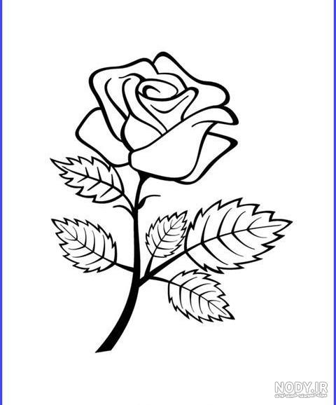 نقاشی و گرافیک نقاشی گل - 100هنر