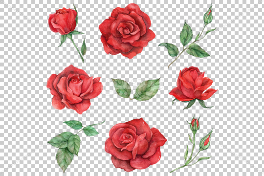 نقاشی گل کودکانه [رز] ساده، زیبا و رنگ شده، کارتونی و فانتزی