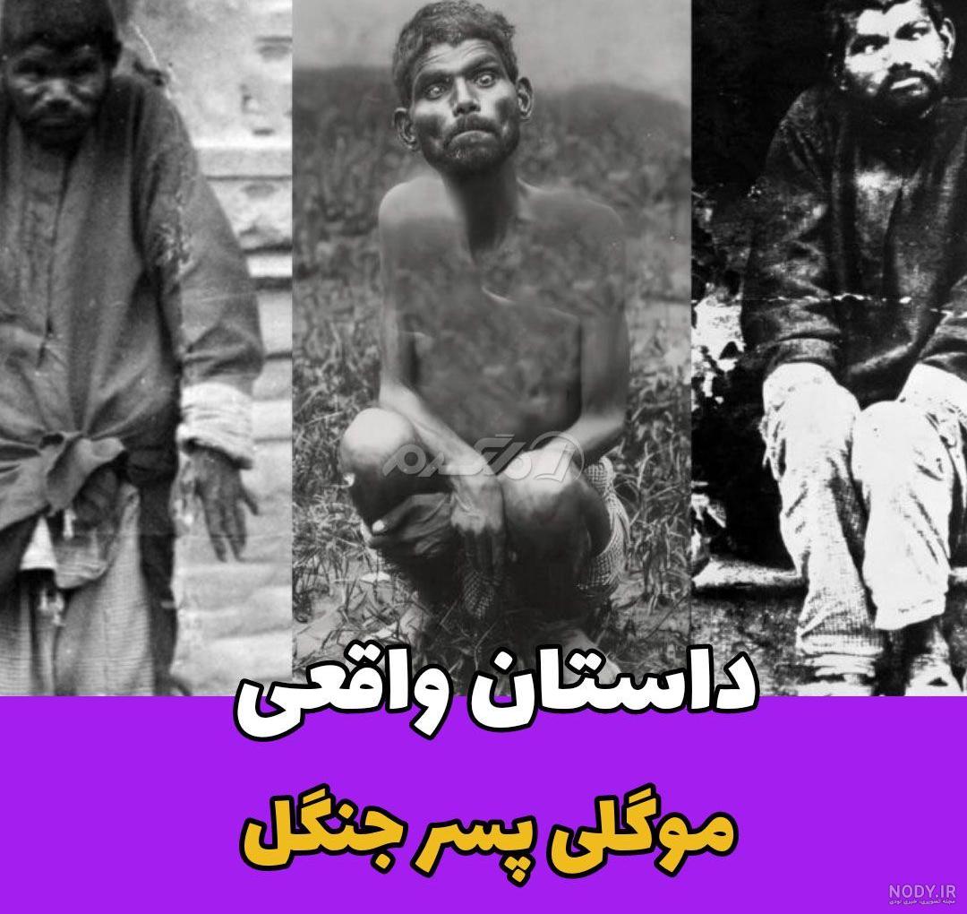 کتاب جنگل کتاب جنگل
