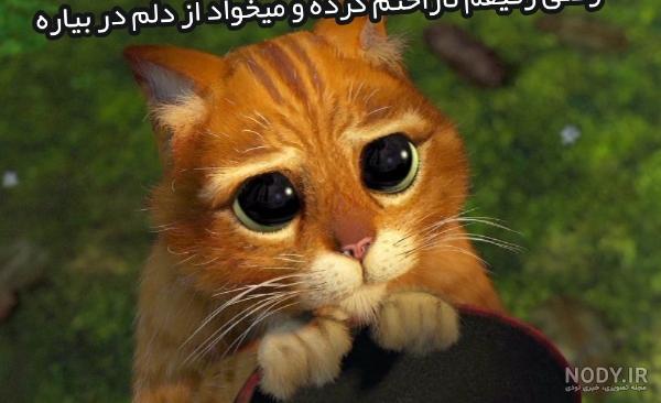 یادداشتی بر انیمیشن Puss in Boots: The Last Wish | پوس، مرگ و آرزو - گیمفا یادداشتی بر انیمیشن Puss in Boots: The Last Wish | پوس، مرگ و آرزو - گیمفا