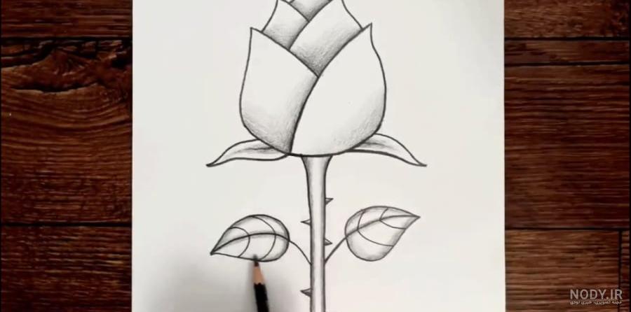 ۳۰ عکس نقاشی گل ساده و زیبا از جدیدترین و آسان ترین طرح ها ۲۰۲۳