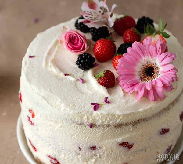 عکس کیک جدید تولد عکس کیک جدید تولد
