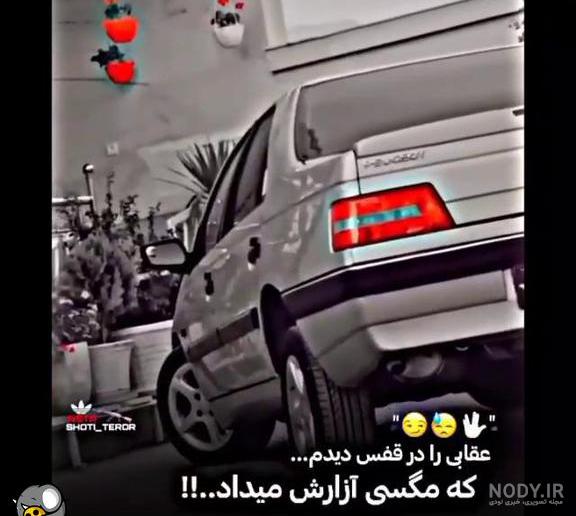 وقتی شوتی لات از جنگ بر میگرده وقتی شوتی لات از جنگ بر میگرده