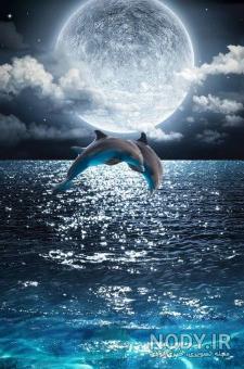 عکس ماه و دریا برای پروفایل