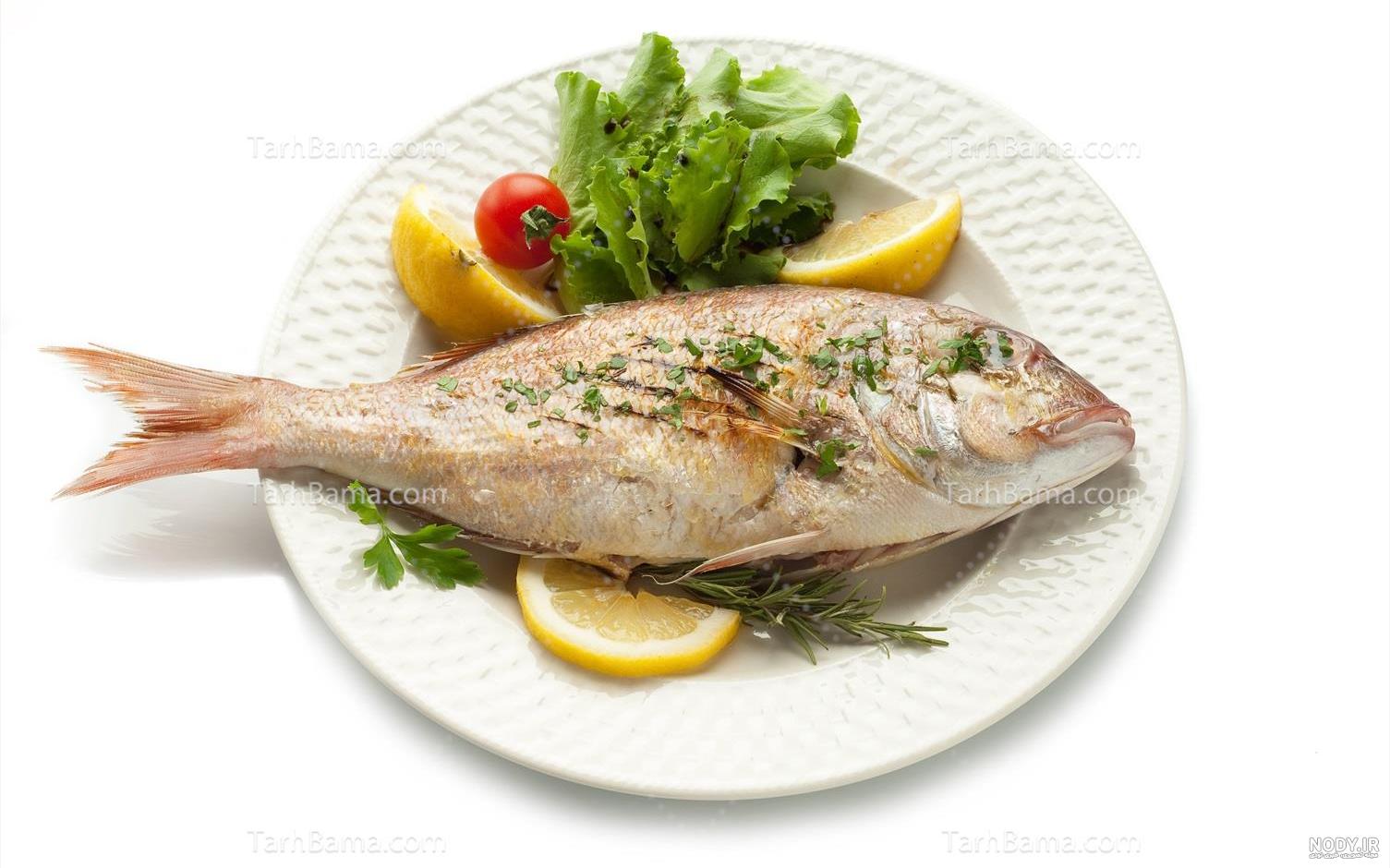 55+ آموزش نقاشی ماهی “🐟” (مرحله به مرحله تصویری + ویدئو)