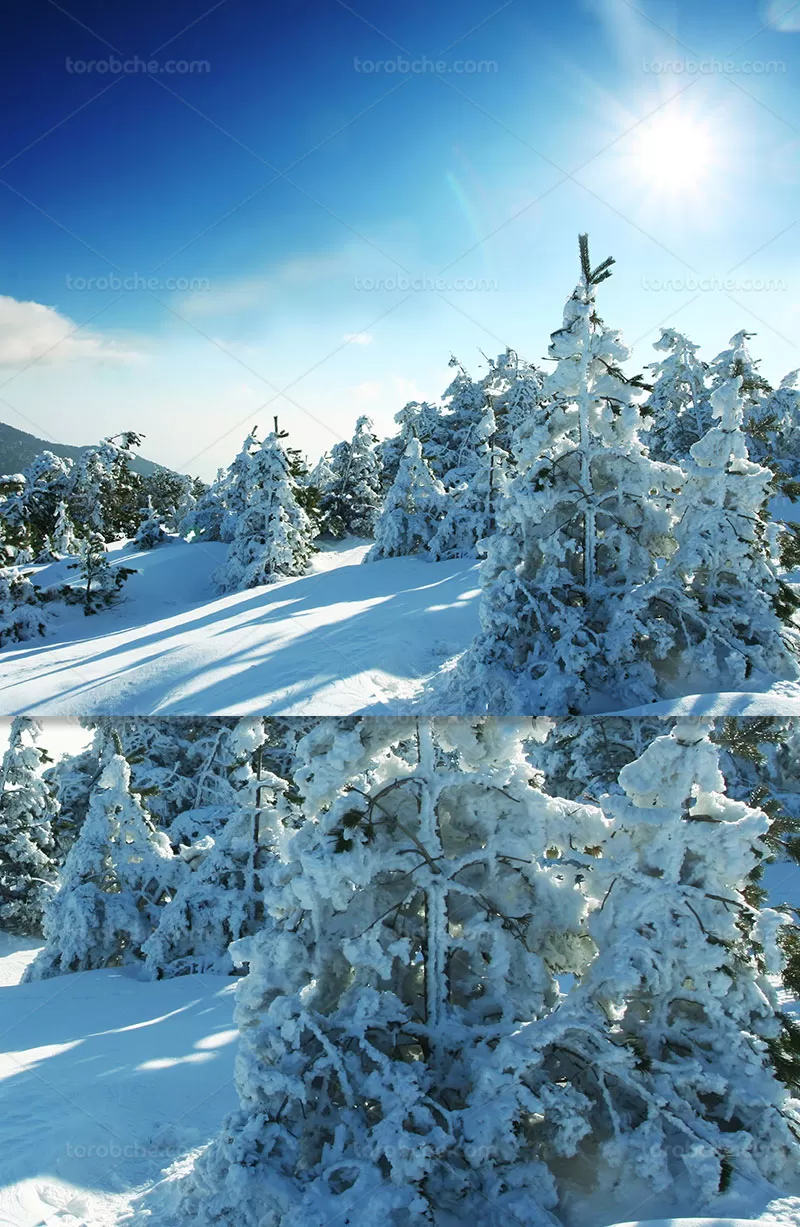 30 عکس زمستان زیبا❄️دانلود عکس زمستان برفی با کیفیت بالا 30 عکس زمستان زیبا❄️دانلود عکس زمستان برفی با کیفیت بالا