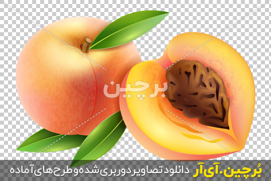 آموزش نقاشی کشیدن و رنگ آمیزی به کودک - موز آموزش نقاشی کشیدن و رنگ آمیزی به کودک - موز