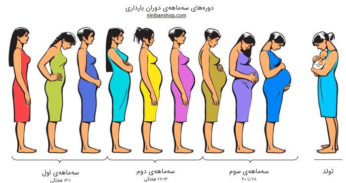 اطلاعات ماه چهارم بارداری | یک زن اطلاعات ماه چهارم بارداری | یک زن