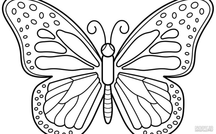 دوربری پروانه کارتونی