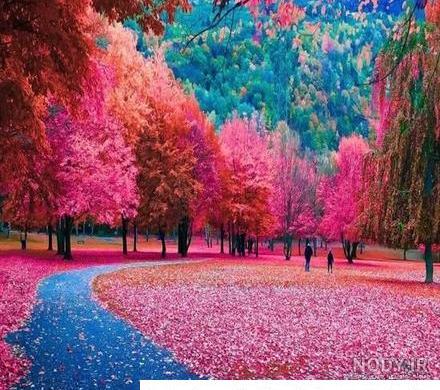 رویایی منظره عکس طبیعت زیبا